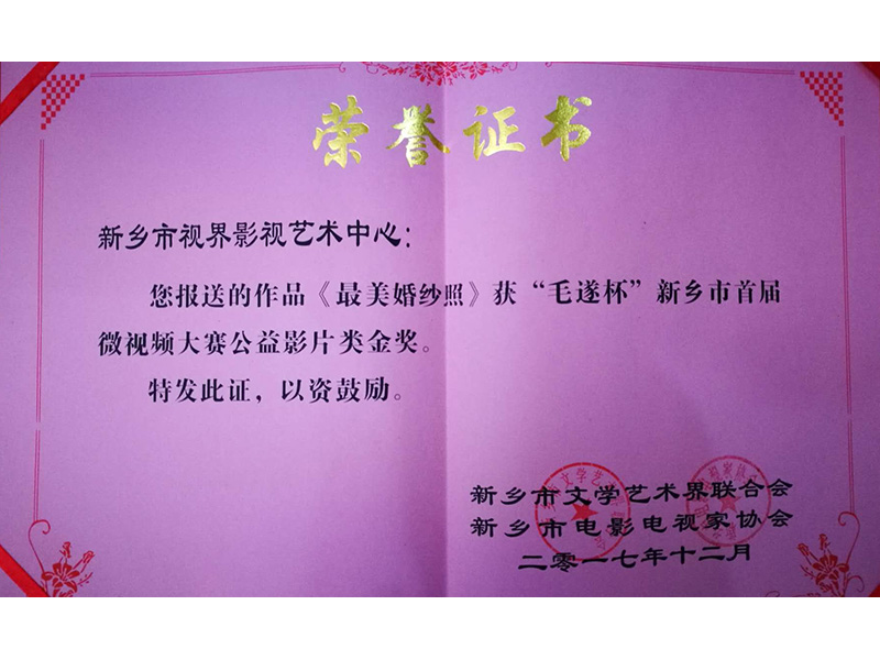 榮譽證書:《最美婚紗照》獲金獎